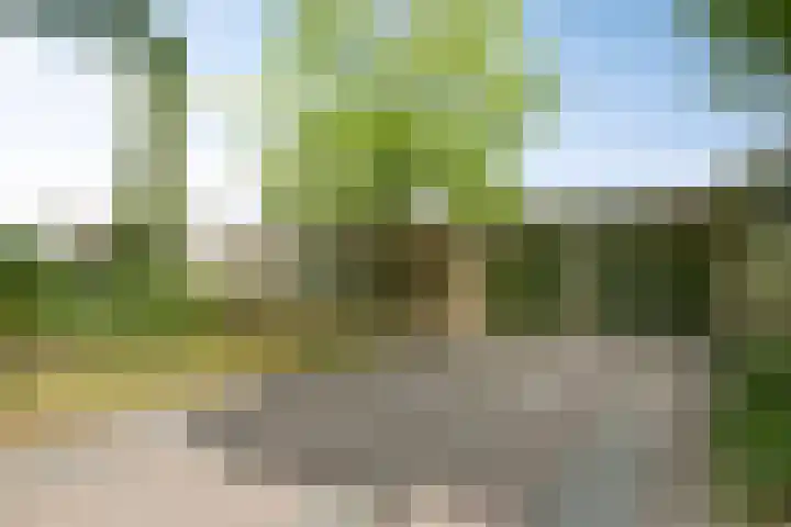 Hermelijnedreef 28 Oss thumbnail 29