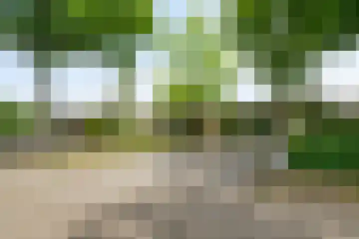 Hermelijnedreef 28 Oss thumbnail 30