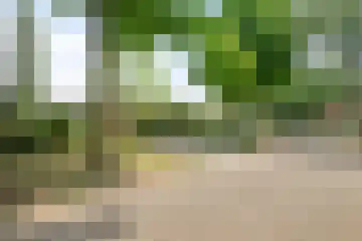 Hermelijnedreef 28 Oss thumbnail 31