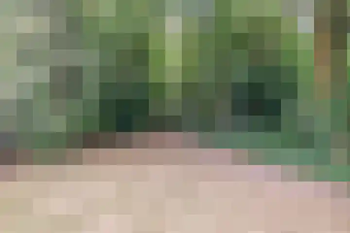 Hermelijnedreef 28 Oss thumbnail 32