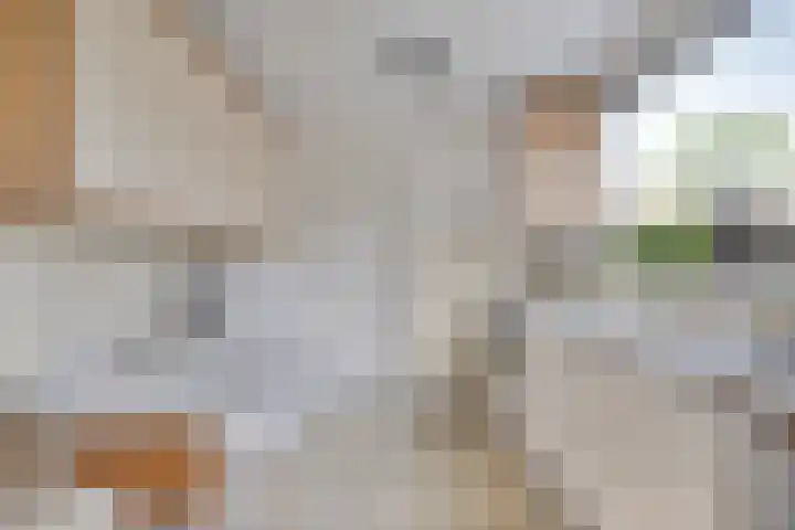 Hermelijnedreef 28 Oss thumbnail 9