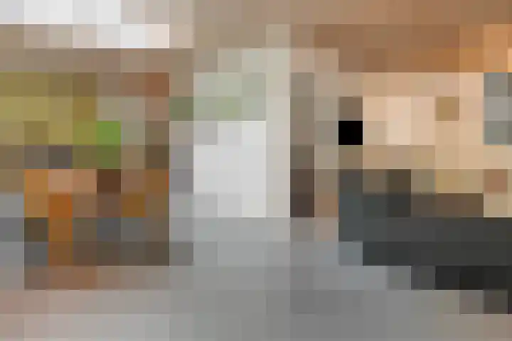 Hermelijnedreef 3 Oss thumbnail 10