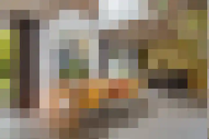 Hermelijnedreef 3 Oss thumbnail 12