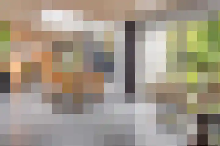 Hermelijnedreef 3 Oss thumbnail 13