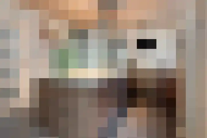 Hermelijnedreef 3 Oss thumbnail 14