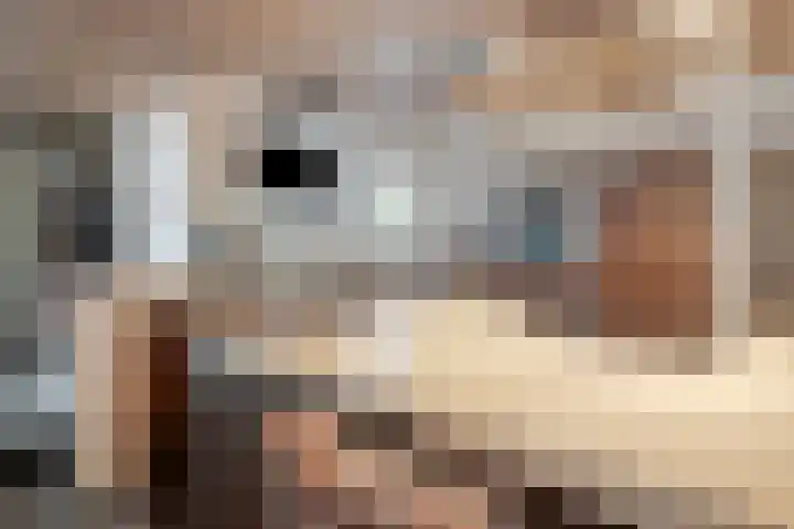 Hermelijnedreef 3 Oss thumbnail 15