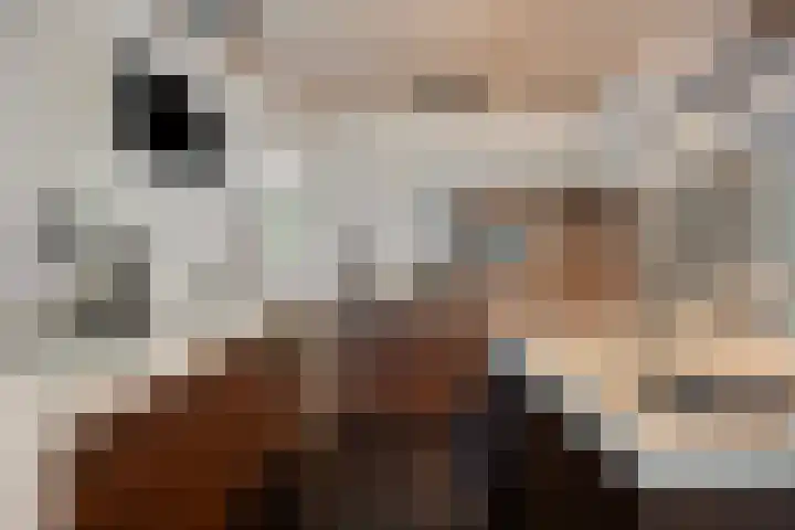Hermelijnedreef 3 Oss thumbnail 16