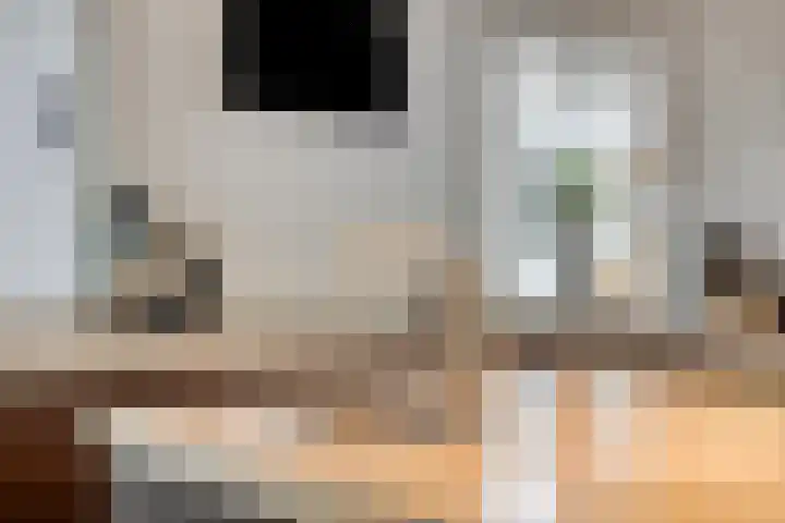 Hermelijnedreef 3 Oss thumbnail 19