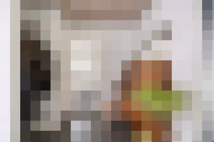 Hermelijnedreef 3 Oss thumbnail 22