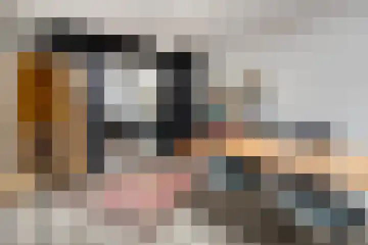 Hermelijnedreef 3 Oss thumbnail 26