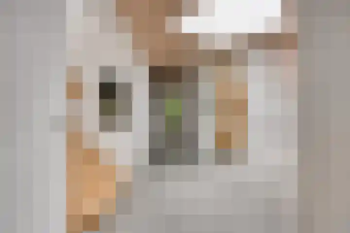 Hermelijnedreef 3 Oss thumbnail 28