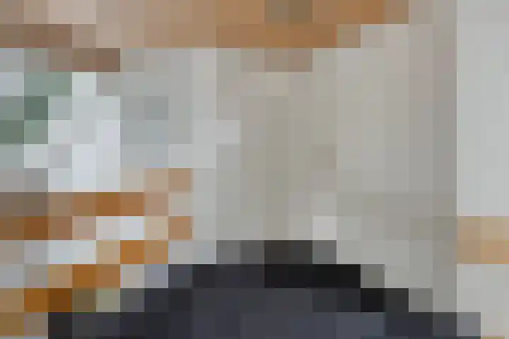 Hermelijnedreef 3 Oss thumbnail 30
