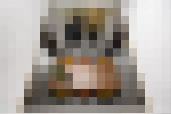 Hermelijnedreef 3 Oss thumbnail 32