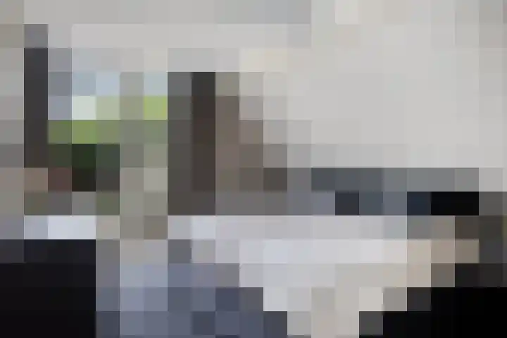 Hermelijnedreef 3 Oss thumbnail 33