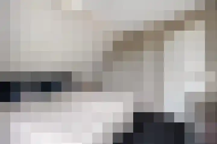 Hermelijnedreef 3 Oss thumbnail 34