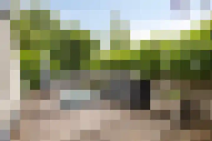 Hermelijnedreef 3 Oss thumbnail 35