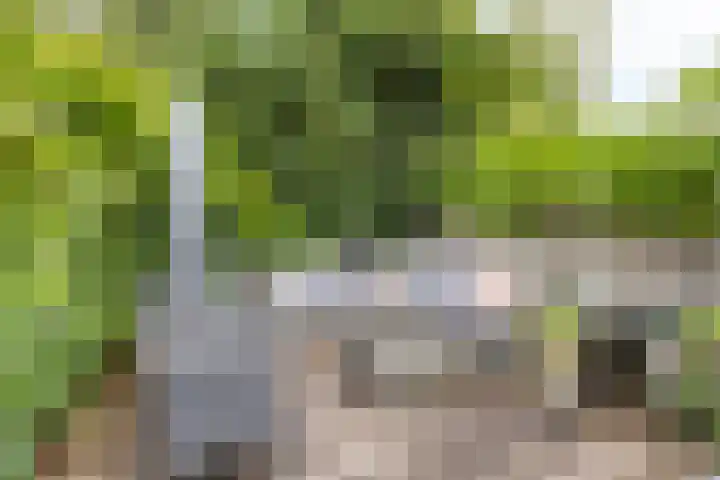 Hermelijnedreef 3 Oss thumbnail 36