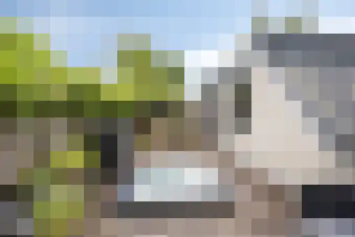 Hermelijnedreef 3 Oss thumbnail 37
