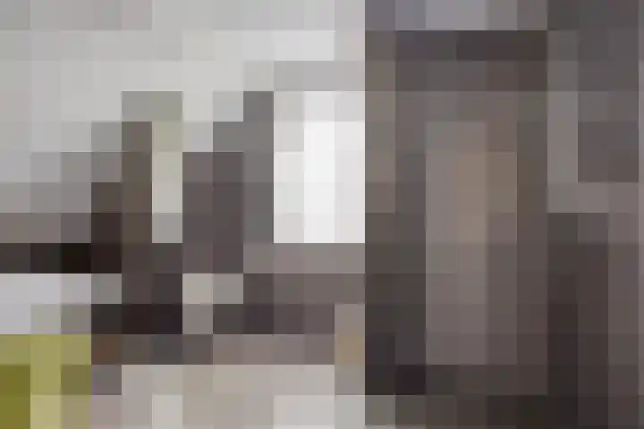 Hermelijnedreef 3 Oss thumbnail 38