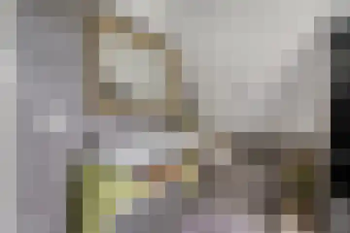 Hermelijnedreef 3 Oss thumbnail 39