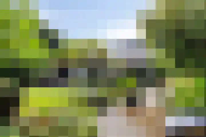 Hermelijnedreef 3 Oss thumbnail 4