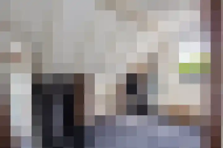 Hermelijnedreef 3 Oss thumbnail 40