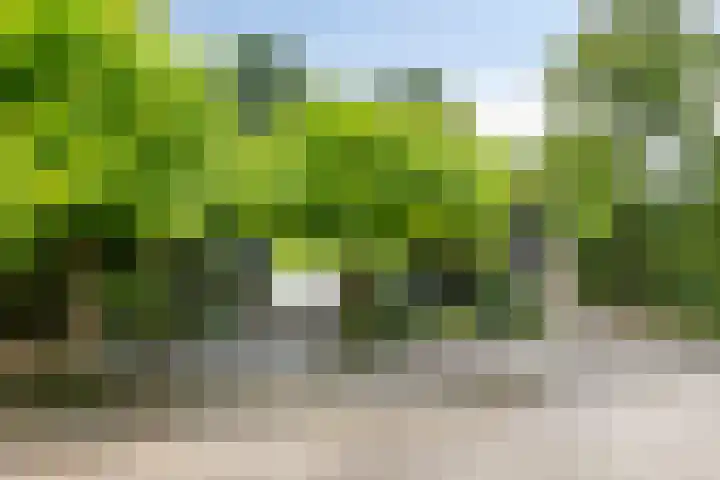 Hermelijnedreef 3 Oss thumbnail 42