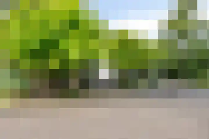 Hermelijnedreef 3 Oss thumbnail 43