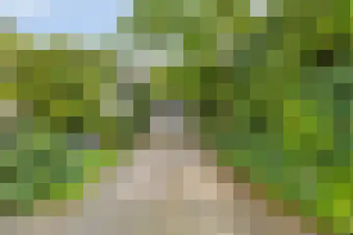 Hermelijnedreef 3 Oss thumbnail 44