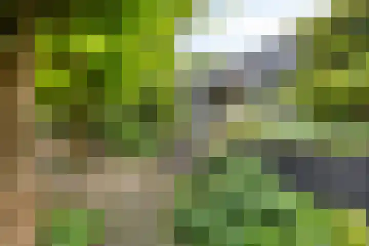 Hermelijnedreef 3 Oss thumbnail 45
