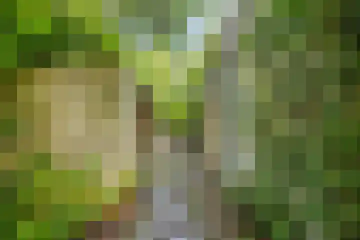 Hermelijnedreef 3 Oss thumbnail 46