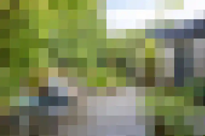 Hermelijnedreef 3 Oss thumbnail 47