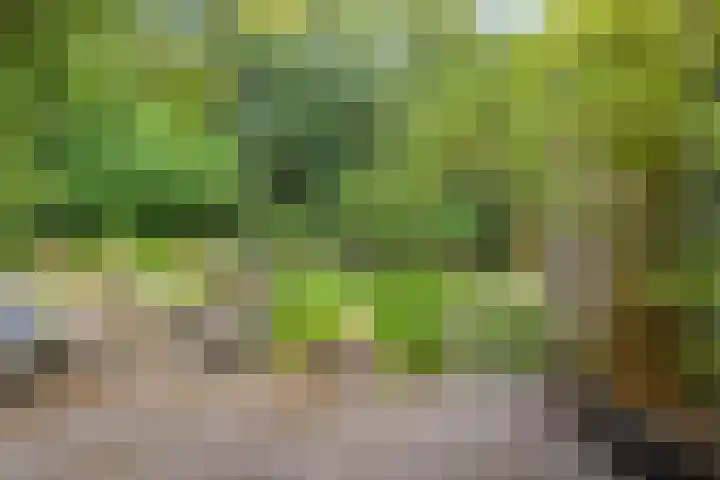 Hermelijnedreef 3 Oss thumbnail 48
