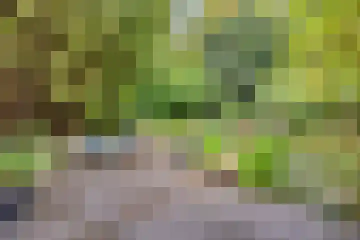 Hermelijnedreef 3 Oss thumbnail 49
