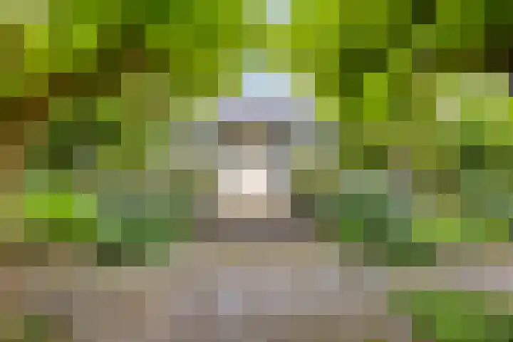 Hermelijnedreef 3 Oss thumbnail 5