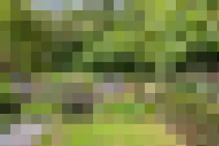 Hermelijnedreef 3 Oss thumbnail 50