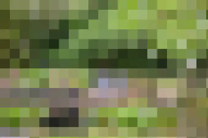 Hermelijnedreef 3 Oss thumbnail 51