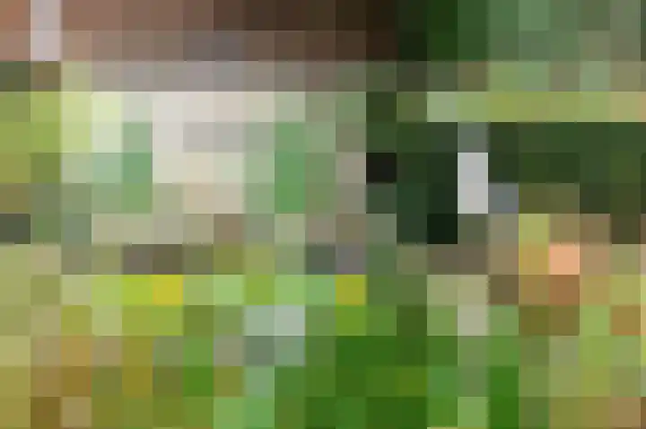 Hermelijnedreef 3 Oss thumbnail 54