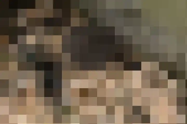 Hermelijnedreef 3 Oss thumbnail 55