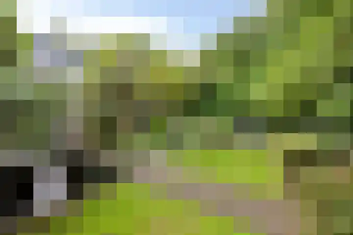Hermelijnedreef 3 Oss thumbnail 56