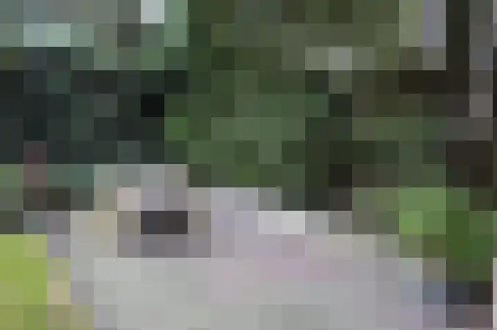 Hermelijnedreef 3 Oss thumbnail 57