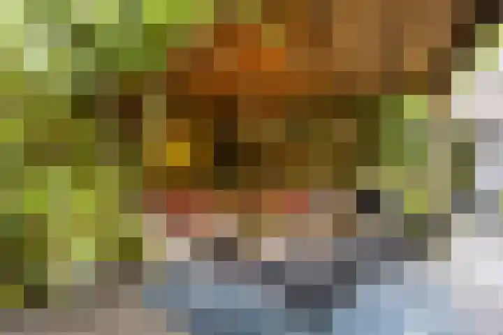 Hermelijnedreef 3 Oss thumbnail 58
