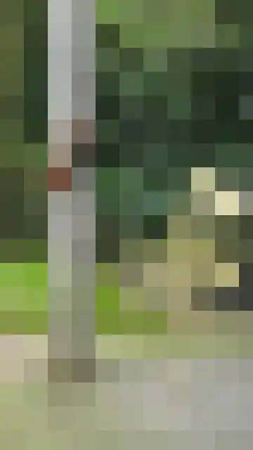 Hermelijnedreef 3 Oss thumbnail 60