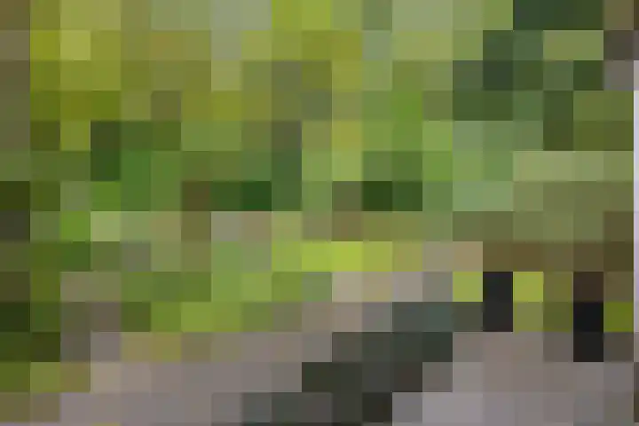 Hermelijnedreef 3 Oss thumbnail 62