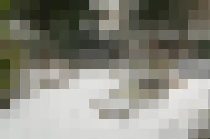 Hermelijnedreef 3 Oss thumbnail 63