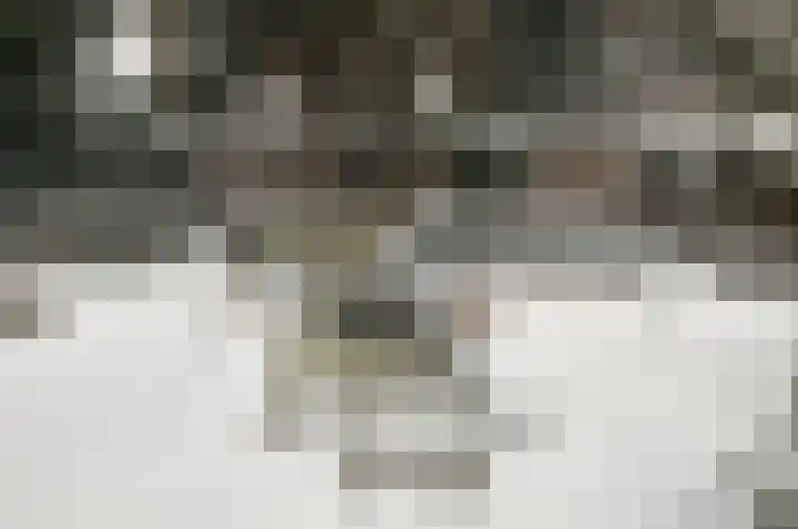 Hermelijnedreef 3 Oss thumbnail 64