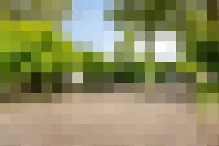 Hermelijnedreef 3 Oss thumbnail 65