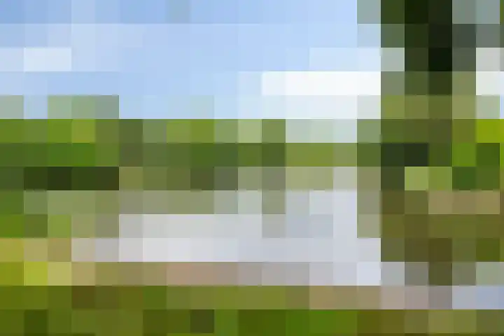 Hermelijnedreef 3 Oss thumbnail 66