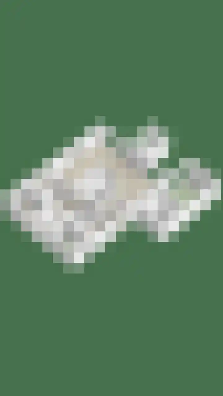 Hermelijnedreef 3 Oss thumbnail 68