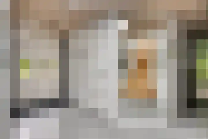 Hermelijnedreef 3 Oss thumbnail 7